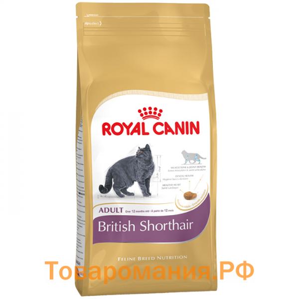 Сухой корм Royal Canin для британской короткошёрстной кошки
