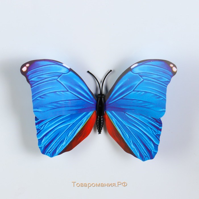 Магнит пластик "Бабочка многоцветная" МИКС 8х10 см