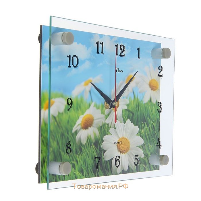 Часы-картина настенные, серия: Цветы, "Ромашки", плавный ход, 20 х 26 см