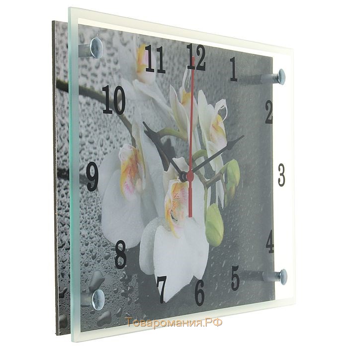 Часы настенные, серия: Цветы, "Белая орхидея", 25х35  см, микс