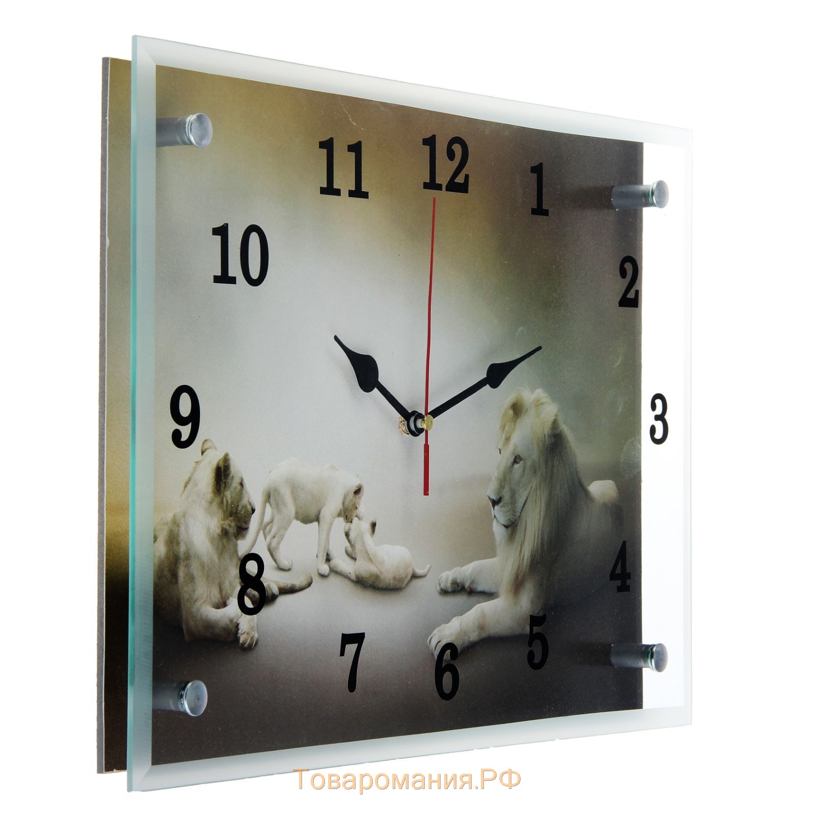 Часы-картина настенные, серия: Животный мир, "Белые львы" 25х35 см