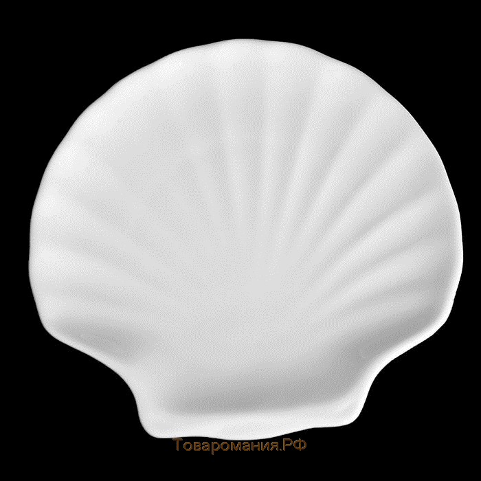 Блюдо-ракушка фарфоровое Wilmax Shelley, d=18 см, цвет белый
