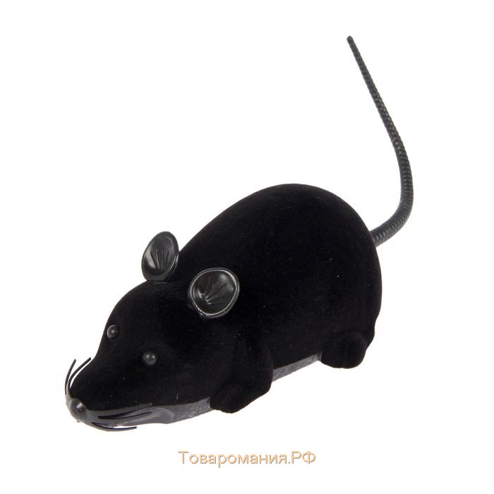Животное радиоуправляемое «Мышь», работает от батареек, МИКС