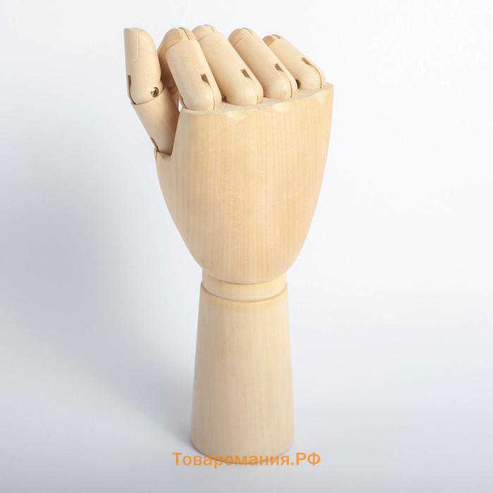 Модель деревянная художественная Манекен "Рука мужская правая" 31 см
