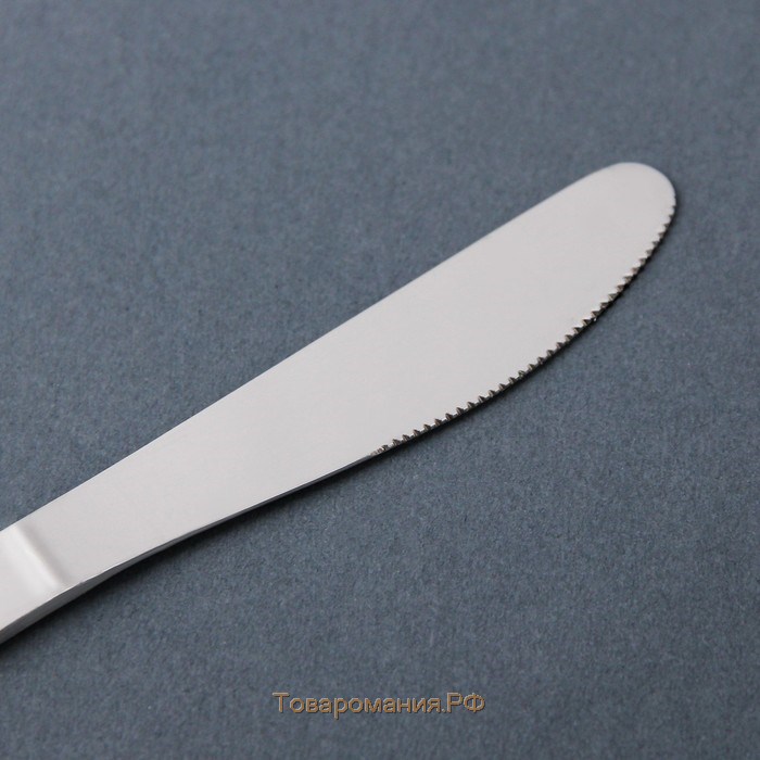 Нож столовый из нержавеющей стали «Варт», длина 21,9 см, толщина 2 мм, цвет серебряный