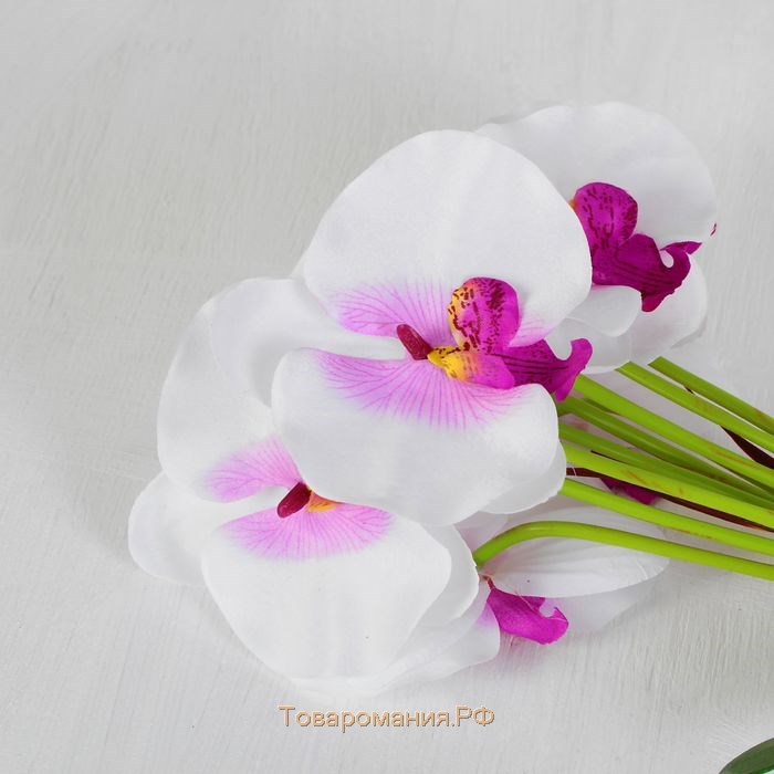 Букет "Орхидея" 33 см, микс