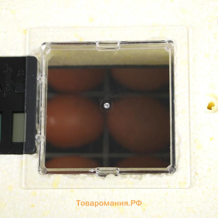 Инкубатор бытовой «Золушка», на 70 яиц, автоматический переворот, 220 В