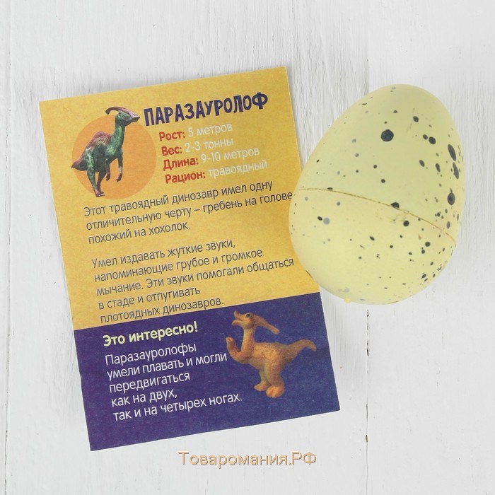 Растущие животные в яйце «Динозавр» МИКС