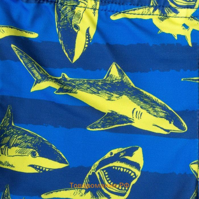 Плавки купальные для мальчика KAFTAN «Акулы», рост 98-104 (30), цвет синий