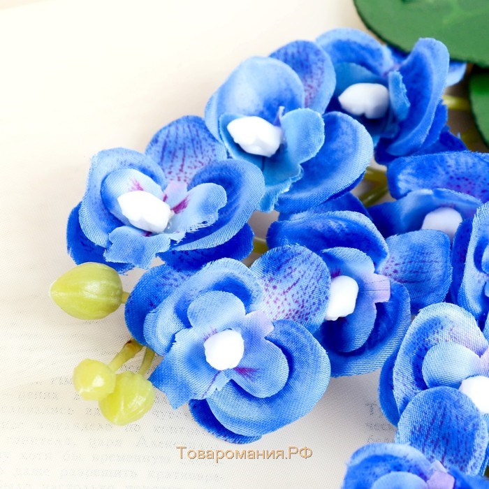 Цветы искусственные "Орхидея королевская" 3,5х28 см, синий