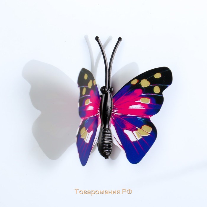 Магнит "Бабочка красавка" 3,5×3 см МИКС