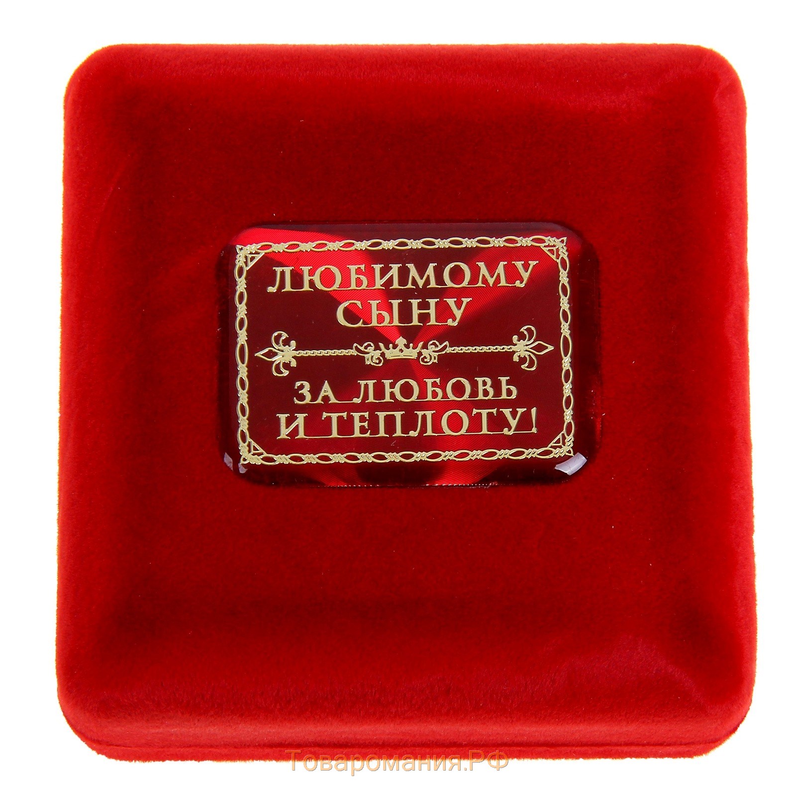 Медаль в бархатной коробке "Золотой сын"