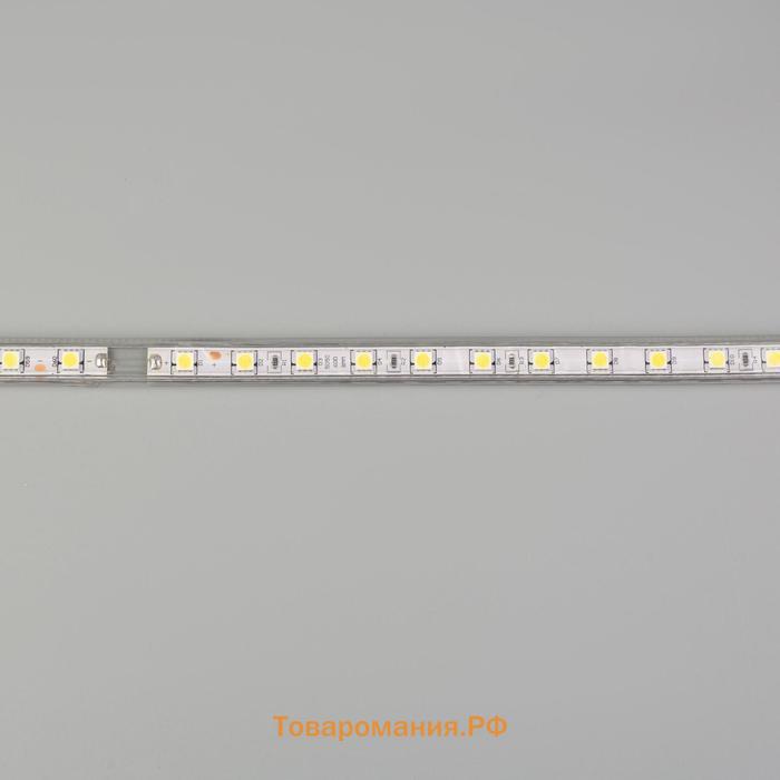 Светодиодная лента Ecola STD 14 × 7 мм, 50 м, IP68, SMD5050, 60 LED/м, 14.4 Вт/м, 220 В, 6000К