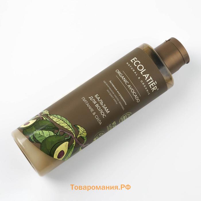 Бальзам для волос Ecolatier Green «Питание & Сила», 250 мл