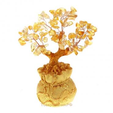 Денежное дерево "Золото"