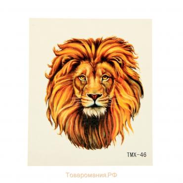 Татуировка на тело "Голова льва" 5,3х6,3 см