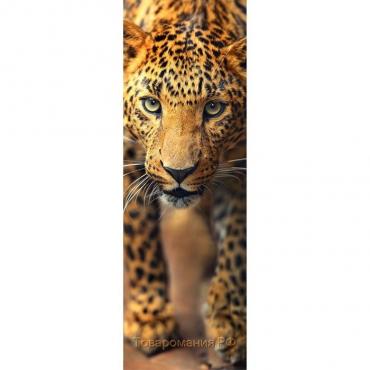 Фотообои "Леопард", 0,9х2,7 м