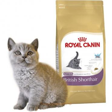 Сухой корм RC Kitten British Shorthair для британских котят, 2 кг