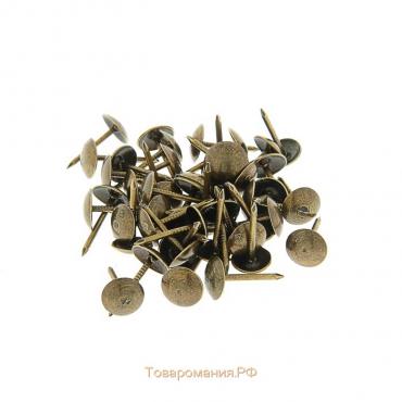 Гвозди ТУНДРА, декоративные, 8х15 мм, бронза, 500 шт