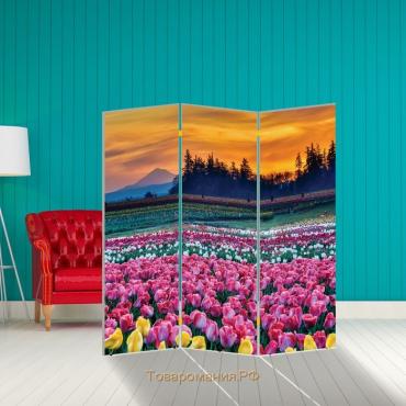 Ширма "Тюльпаны. декор 7" 150 × 160 см