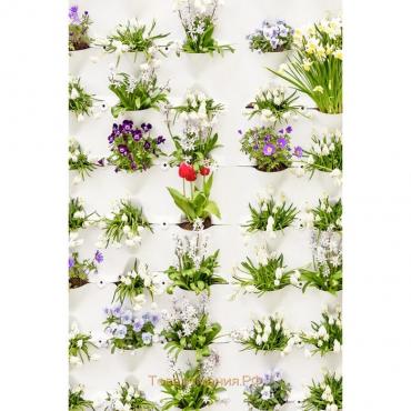Фотообои Стена с цветами 1,8*2,7 (из 2 листов)