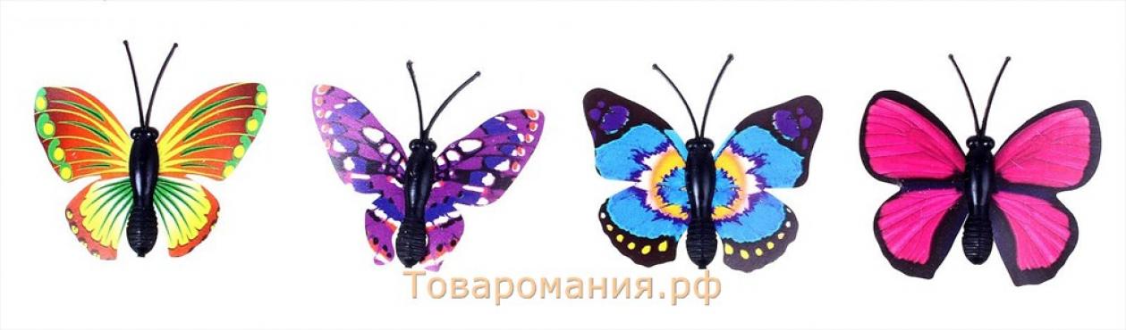 Магнит "Бабочка миниатюрная" 3×4 см