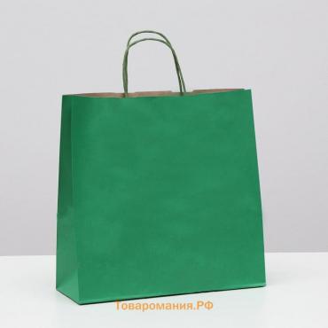 Пакет крафт, зеленый вельвет, с кручеными ручками, 32 х 12 х 32 см