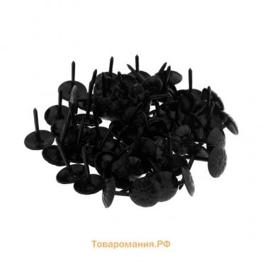 Гвозди ТУНДРА, декоративные, фактурные, 11х16 мм, черные, 100 шт