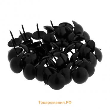 Гвозди ТУНДРА, декоративные, 19х22 мм, черные, 200 шт