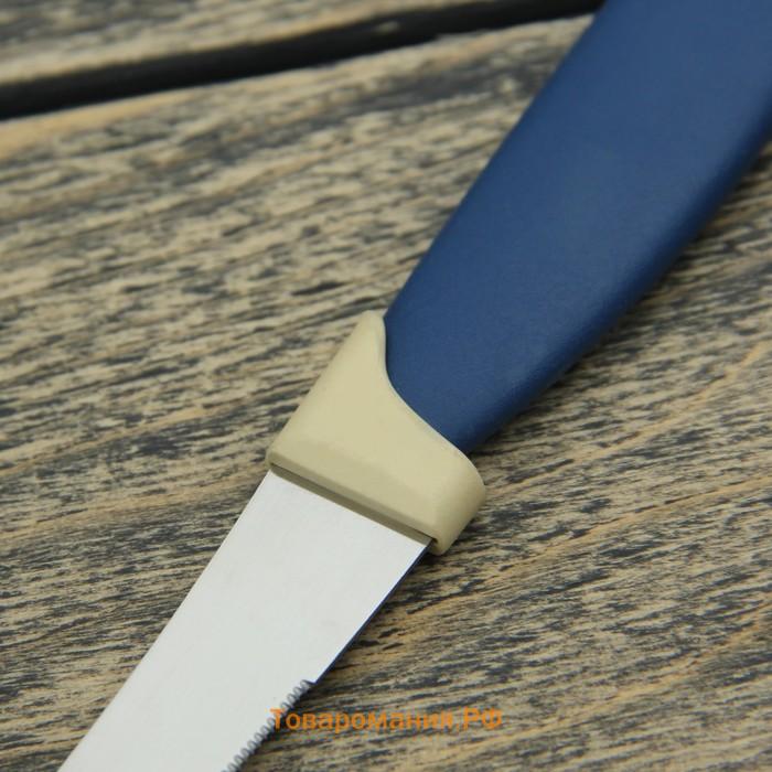 Нож кухонный для цитрусовых «Страйп», зубчатое лезвие 11,5 см