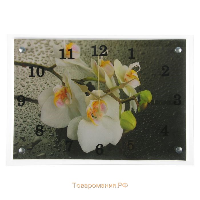 Часы настенные, серия: Цветы, "Белая орхидея", 25х35  см, микс