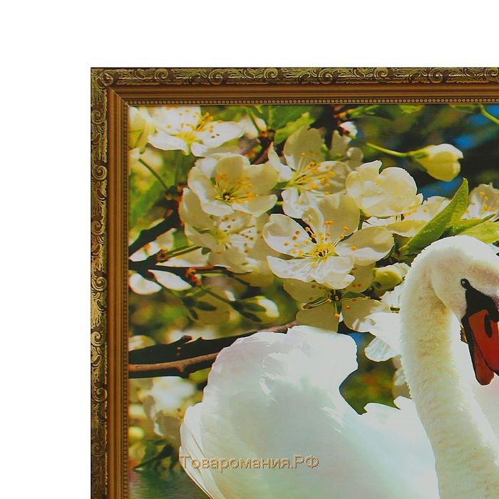 Картина "Два Лебедя" 66х106см рамка МИКС