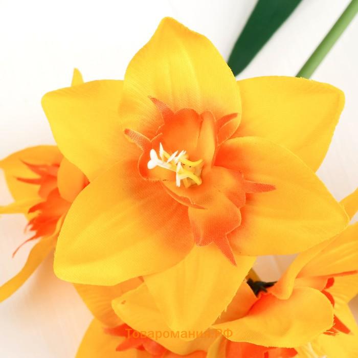 Цветы искусственные "Нарцисс" 60 см, жёлтый