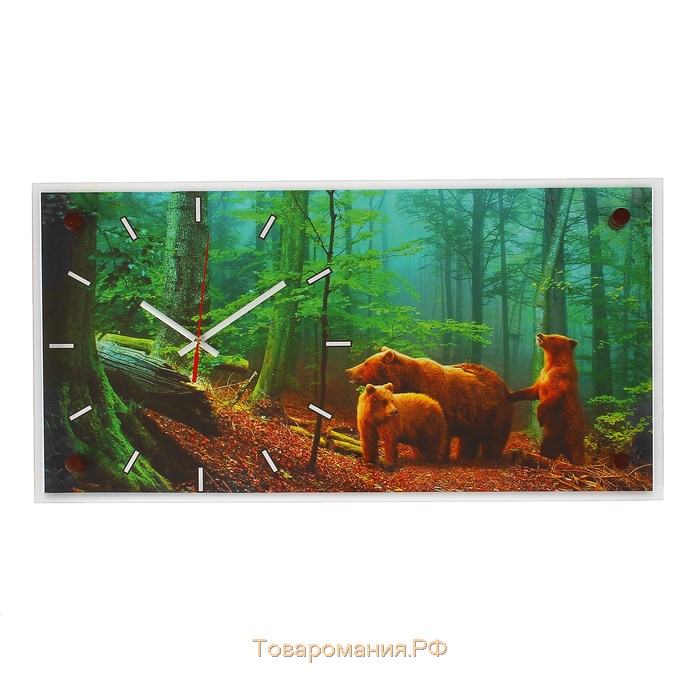 Часы-картина настенные, серия: Животный мир, "Мишки в лесу", 52х26  см, микс