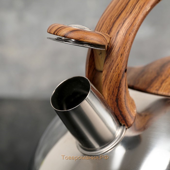 Чайник из нержавеющей стали со свистком «Квант», 2,8 л, фиксированная ручка soft-touch, цвет хромированный