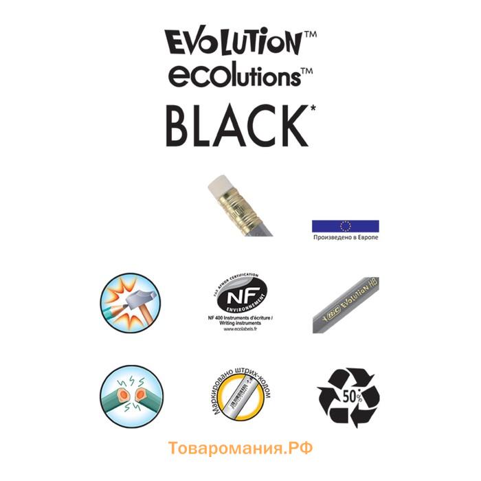 Набор карандашей чернографитных 3 штуки BIC "Evolution", НВ, пластиковый, с ластиком