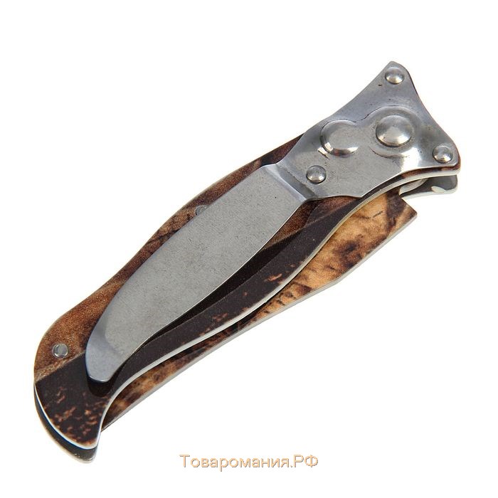 Нож перочинный "Орёл" лезвие 7,5 см, (фиксатор, кнопка) 17см МИКС