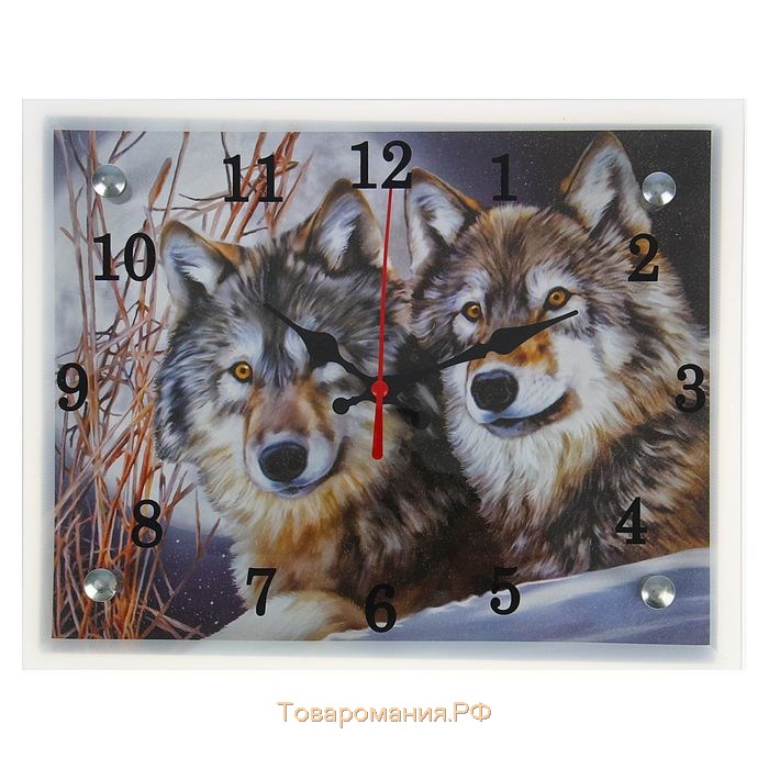 Часы настенные, серия: Животный мир, "Два волка", 20х25  см