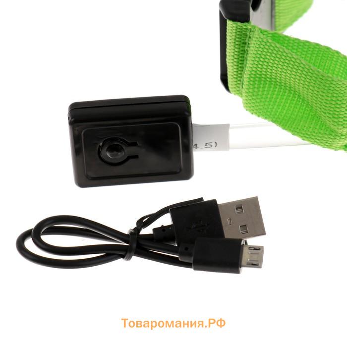 Ошейник с подсветкой, зарядка от USB, размер L, ОШ 41-52 см, 3 режима, зелёный