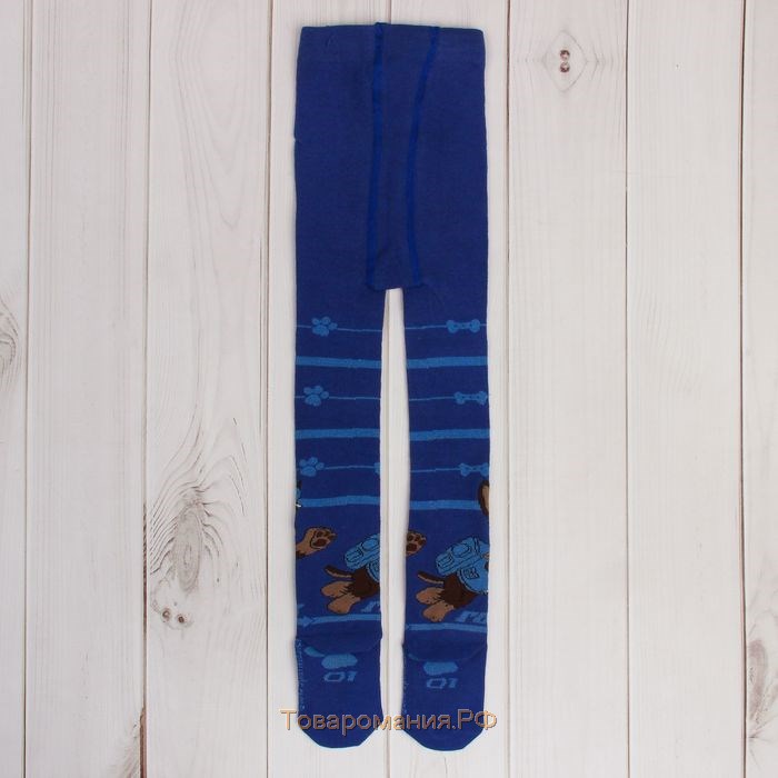 Колготки PAW PATROL «Гончик», цвет синий, 86-92 см