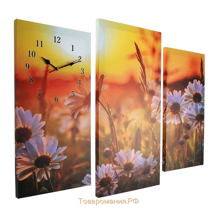 Часы настенные, модульные, серия: Цветы, "Ромашки на закате", 60х80  см