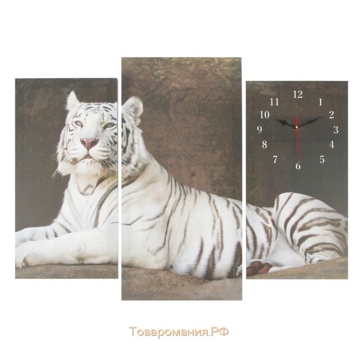 Часы настенные, модульные, серия: Животный мир, "Белый тигр", 60х80 см