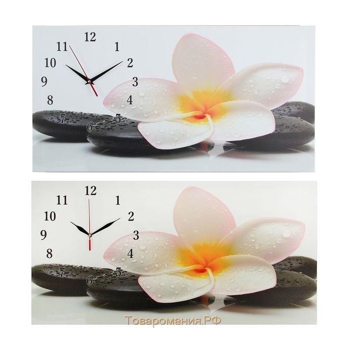 Часы-картина настенные, серия: Цветы, "Белый цветок на камнях", 40 х 76 см