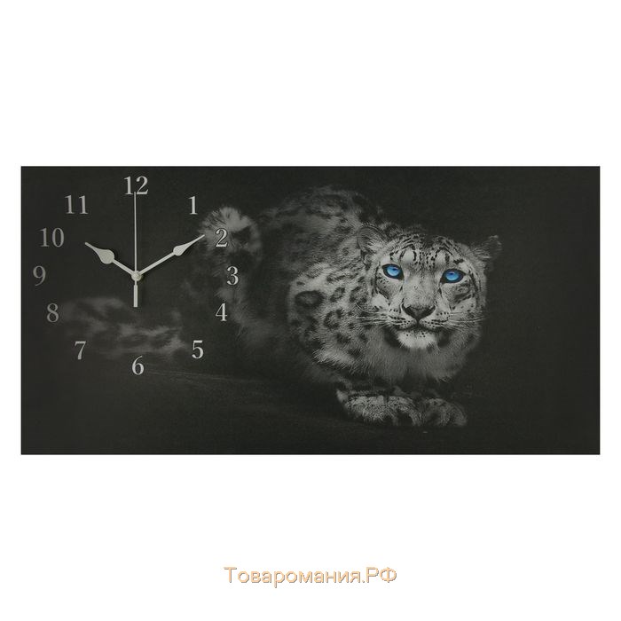 Часы-картина настенные, серия: Животный мир, "Леопард", 40 х 76 см