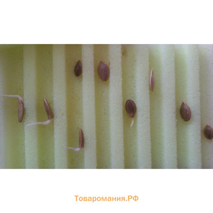 Матрасик для проращивания семян, малый, 10 × 12 × 3 см, «Лабиринт», МИКС