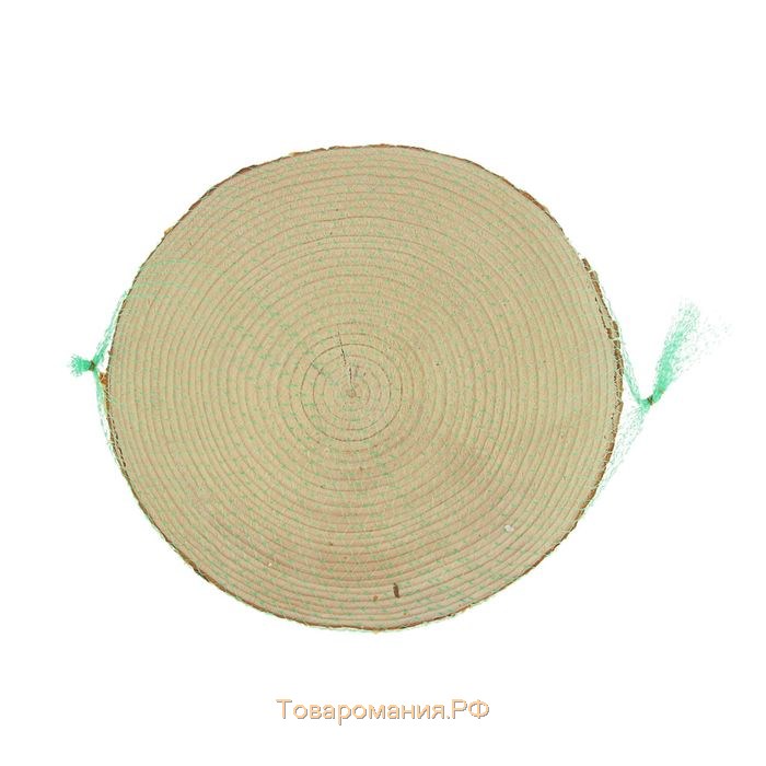 Спил сосны, шлифованный с одной стороны, диаметр 30-35 см, толщина 2-3 см