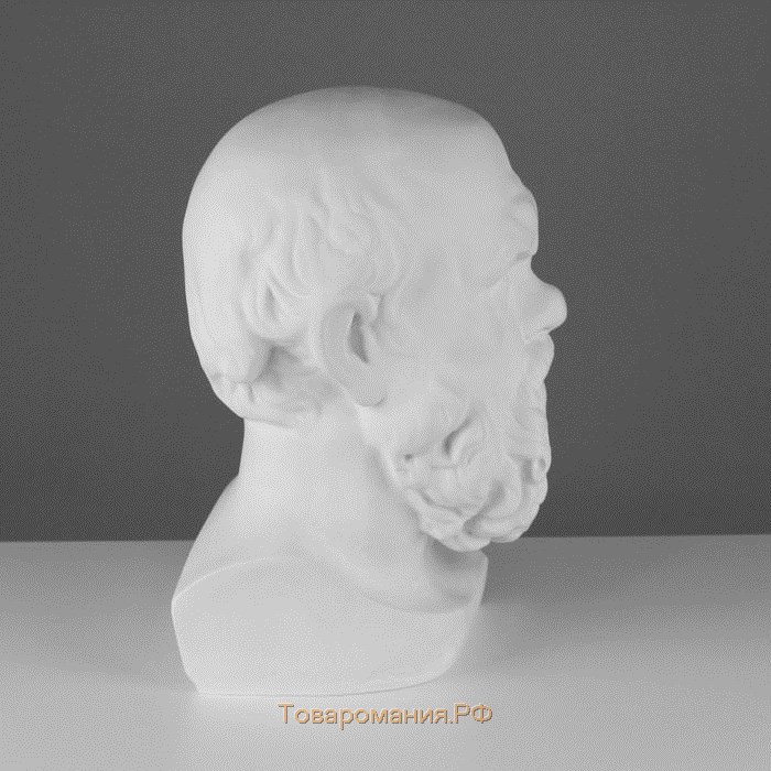 Гипсовая фигура Голова Сократа, 20 х 20 х 38,5 см