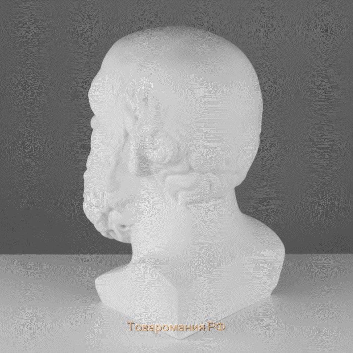 Гипсовая фигура Голова Сократа, 20 х 20 х 38,5 см