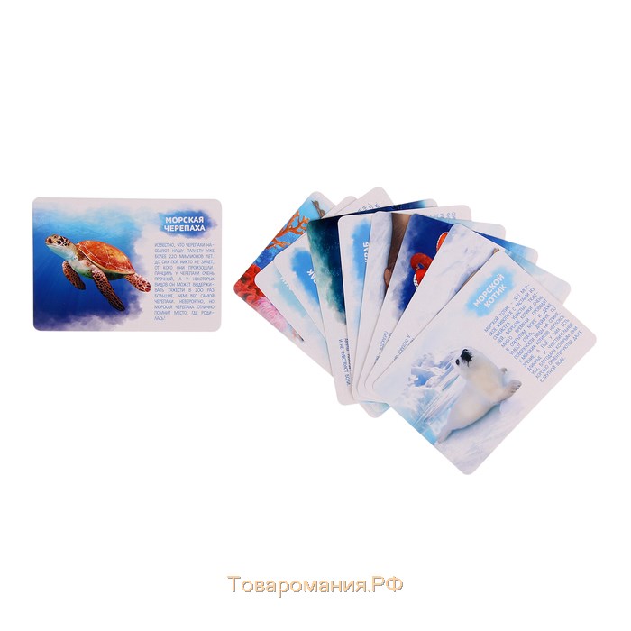 Набор фигурок животных для детей с обучающими карточками «Подводный мир», карточки, по методике Монтессори