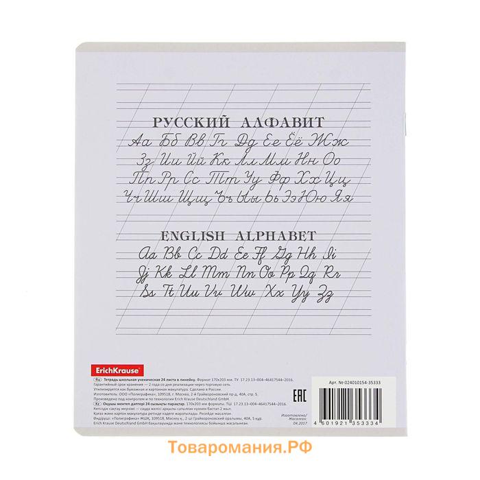 Тетрадь 24 листа в линейку ErichKrause "Классика", обложка мелованный картон, блок офсет, МИКС (1 вид в спайке)